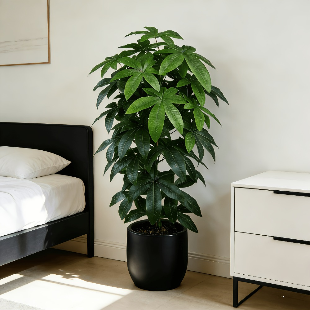 Monstera Adansonii - Искусственное денежное дерево Пачира Акватика с