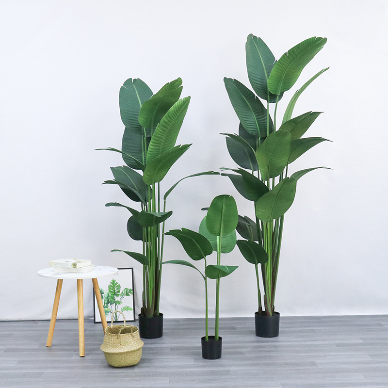 Искусственный пластик в горшке – обзор и цена Bird Paradise Strelitzia