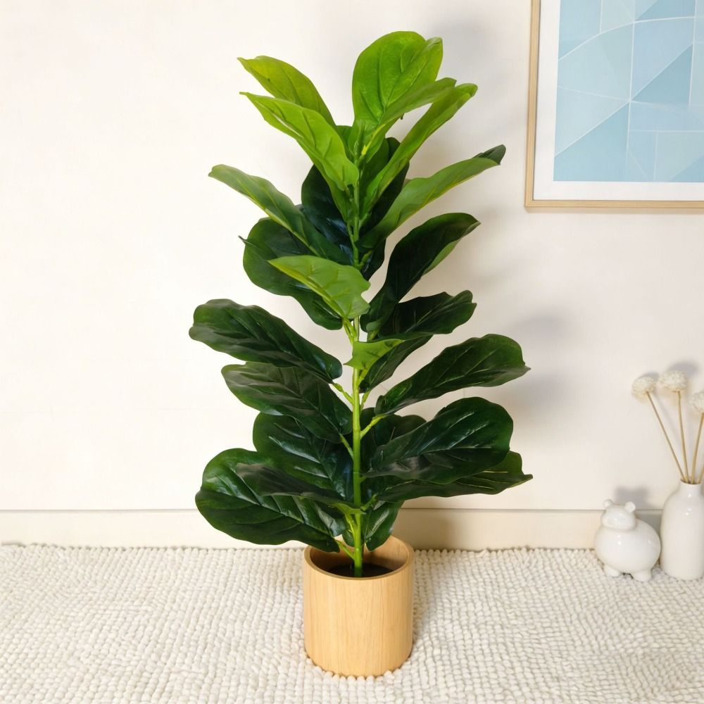 Искусственное дерево фикус из  – обзор и цена Monstera Adansonii